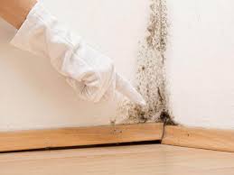 Best Basement Mold Removal  in Emigsville, PA